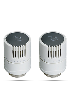 Головка термостатическая жидкостная Zeissler 0501 (2 шт.)