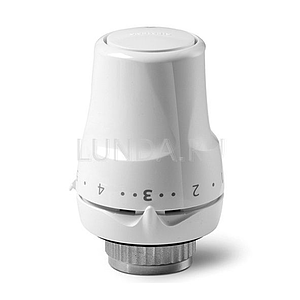 Темоголовка RTN51 