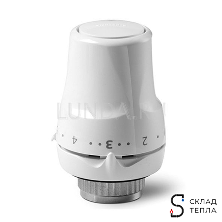 Темоголовка RTN51 . Вид 1.