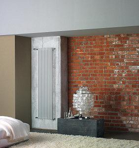 Радиатор трубчатый Zehnder Excelsior E 1050/6 (секция)