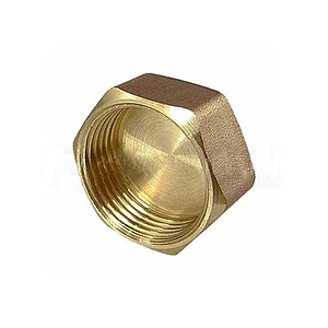 Заглушка латунная с внутренней резьбой TIM - 1' (2шт)